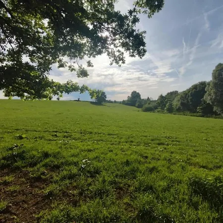 Charming W Garden, Cleaning Included * Ostende